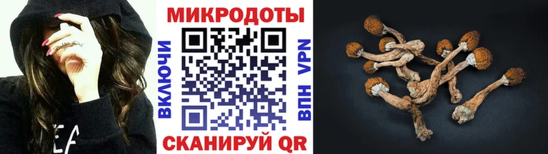 Псилоцибиновые грибы мицелий  omg ссылки  Верхотурье 